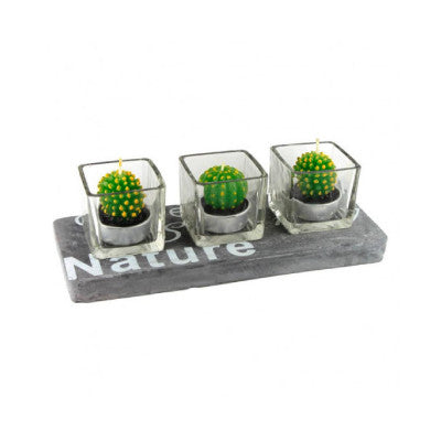 Bougeoir Cactus Nature