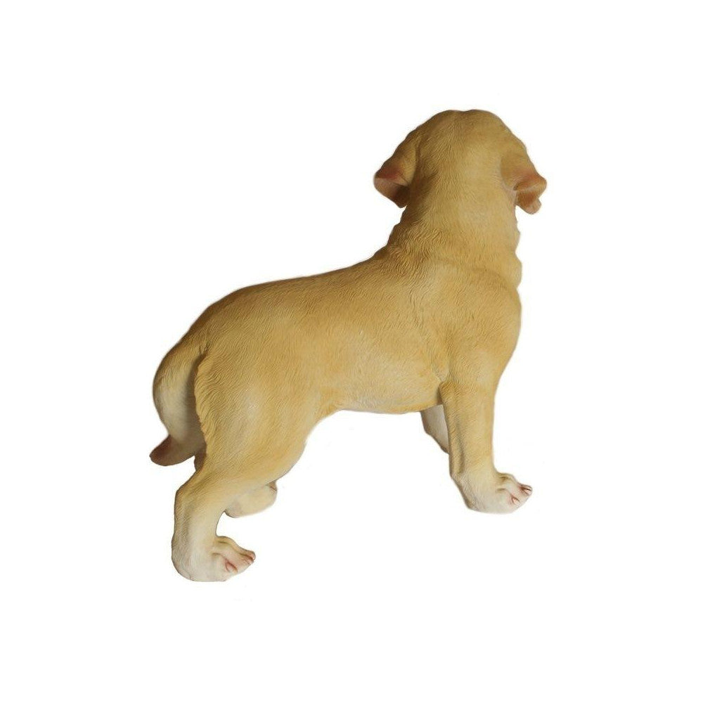 Labrador - 32 Cm