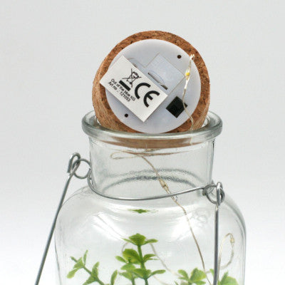 Plante Grasse De Décoration Dans Pot En Verre Avec LED