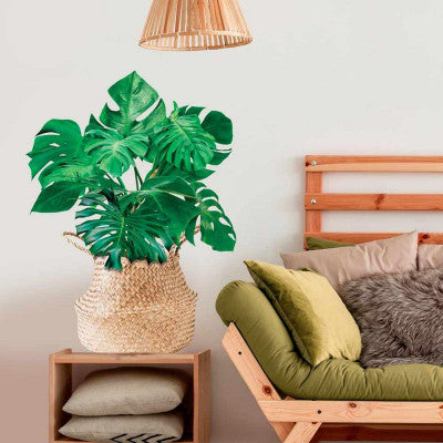 Stickers Plante Monstera En Pot - 70 X 50 Cm