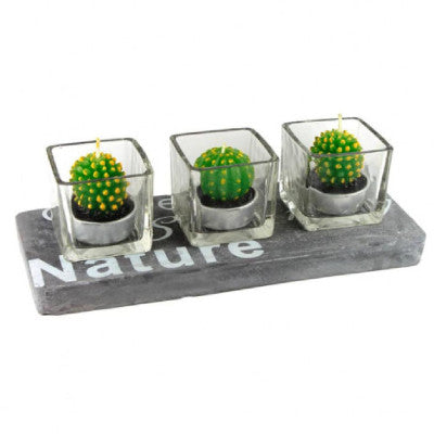  Bougeoir Cactus Nature