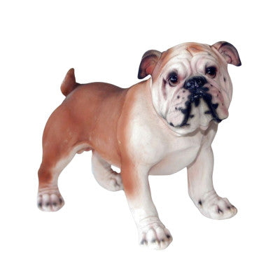  Bulldog Anglais En Résine - 34 Cm