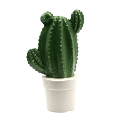  Cactus En Porcelaine - Mastodonte