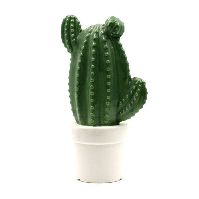  Cactus En Porcelaine - Mastodonte