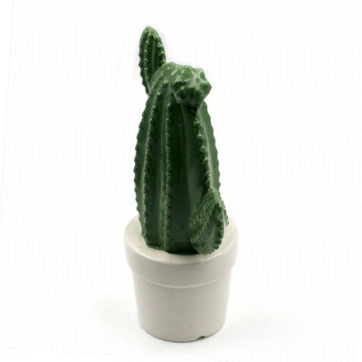  Cactus En Porcelaine - Mastodonte