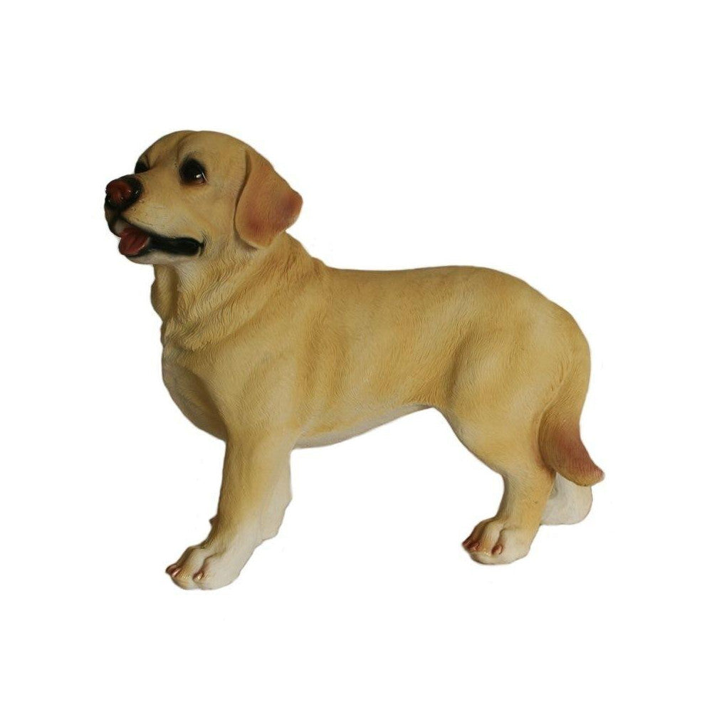  Labrador - 32 Cm