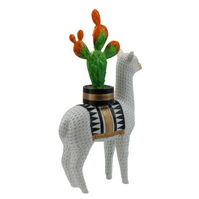  Lama Cactus 39 X 23 X 7 Cm