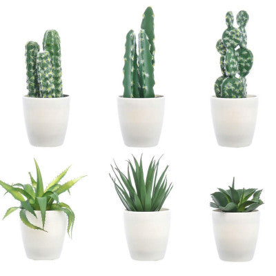  Lot De 6 Faux Cactus Assortis