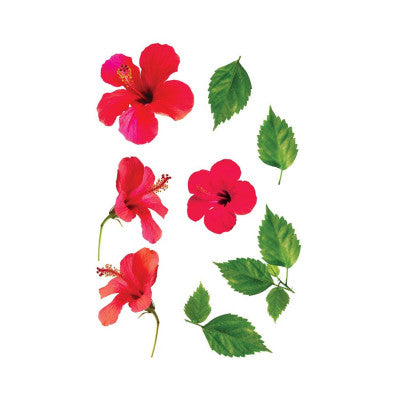  Sticker 20 X 70 - Fleurs D'Hibiscus