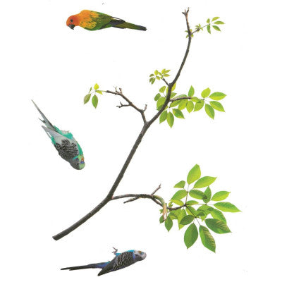  Sticker De Vitre Branches Délicates Et Oiseaux
