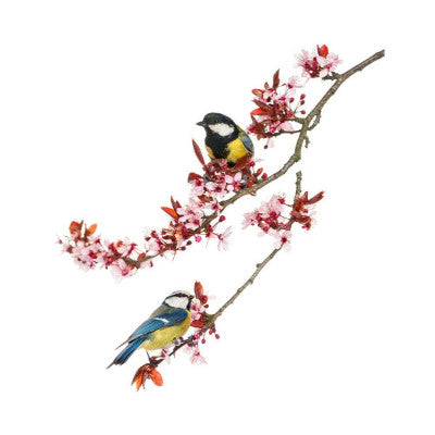  Sticker Mésanges Sur Branche Fleurie 70x20cm - Déco Murale Nature