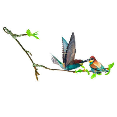  Sticker Mural Oiseaux Colorés | Guêpiers Sur Branche | Déco Nature