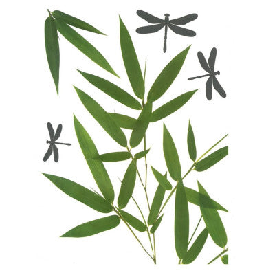  Sticker Vitre Bambou