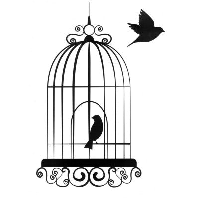  Sticker Vitre Cage à Oiseaux