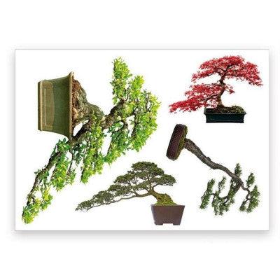  Sticker Mural Collection De Bonsaïs - Décoration Zen & Japonaise