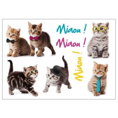  Stickers Chatons Mignons 50x70 Cm - Décoration Murale Chambre Enfant