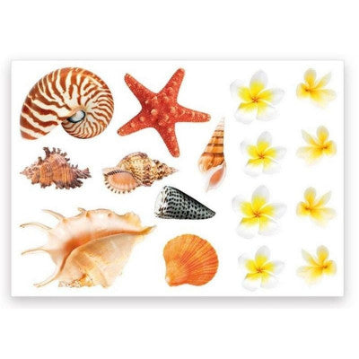  Stickers Muraux Coquillages & Fleurs - Décoration Zen Pour Salle De Bain & Spa