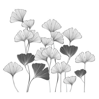  Stickers Muraux Ginkgo | Décoration Design & Élégante