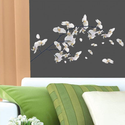  Sticker Mural Orchidée Blanche | Décoration Florale Zen