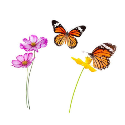  Stickers Papillon - 1 Planche 20 X 70 Cm