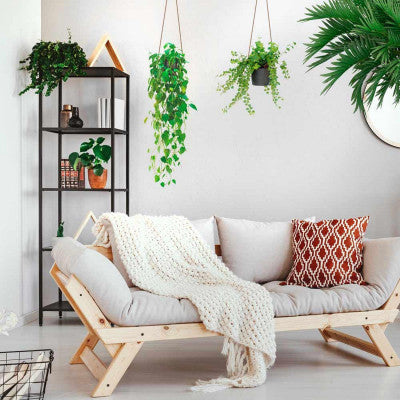  Stickers Suspensions De Plantes En Pot - 70 X 50 Cm