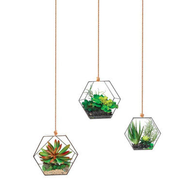  Stickers Suspensions Design De Plantes Grasses 70 X 20 Cm