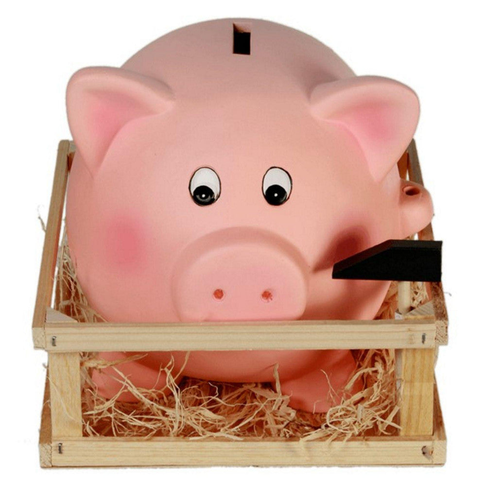  Tirelire Cochon Avec Son Marteau - 20 Cm